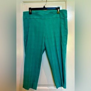 Zac & Rachel Turquoise Capris 16